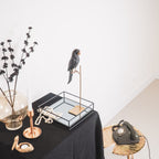 Papagoi - Kuldne/Must - 8,5x11x44cm