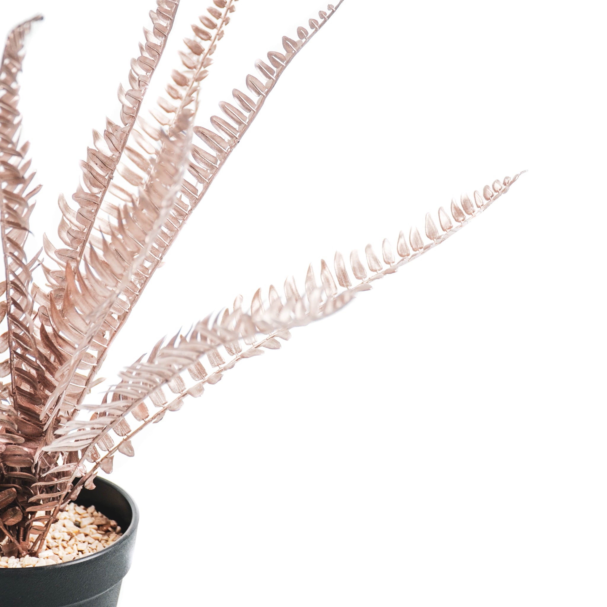 Sõnajalg - Pronks/Must - 15x30x45cm