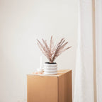 Sõnajalg - Pronks/Must - 15x30x45cm