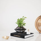 Huuled - Must - 30x12x11cm