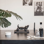 Õhupallkoer - must - 25,5x10x13cm