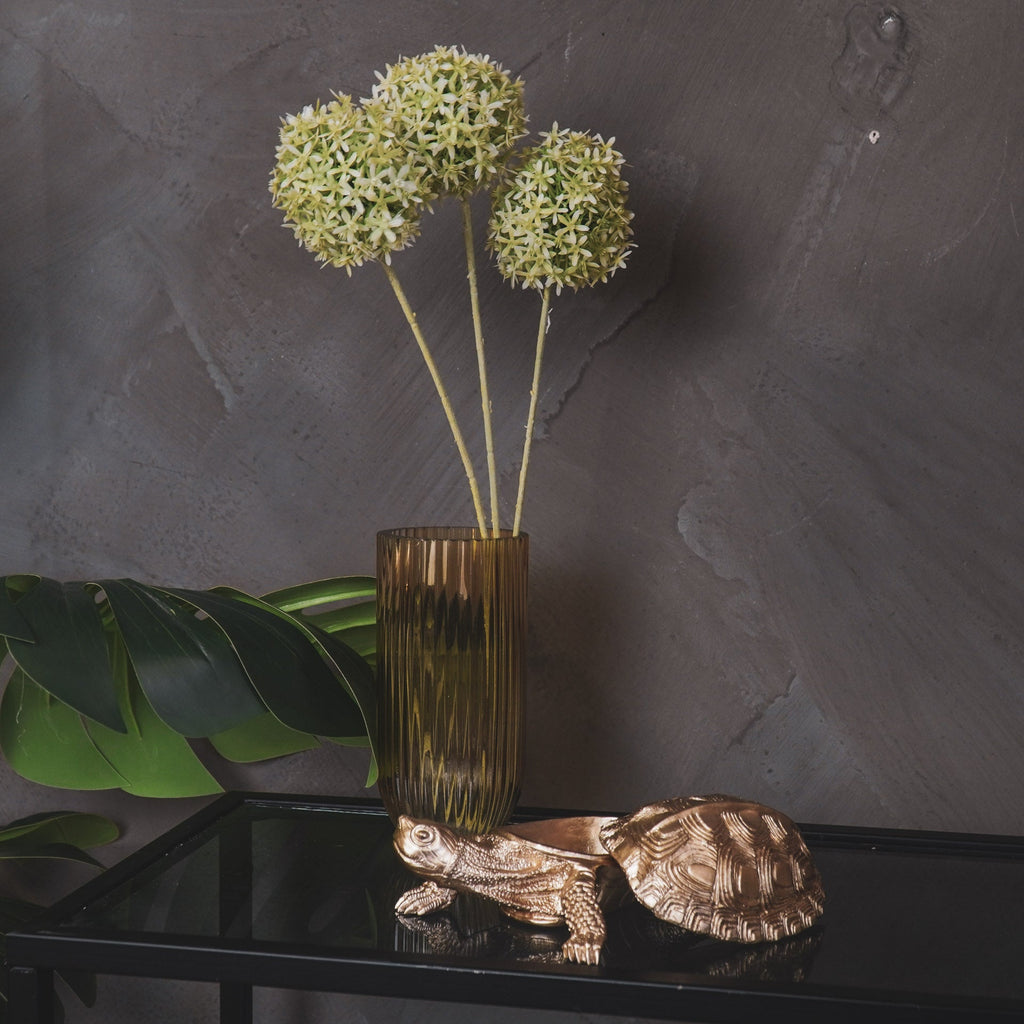 Kilpkonnakarp - Kuldne - 15,5x13,5x7,5cm