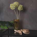 Kilpkonnakarp - Kuldne - 15,5x13,5x7,5cm