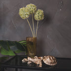 Kilpkonnakarp - Kuldne - 15,5x13,5x7,5cm