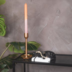 Kilpkonnakarp - must - 15,5x13,5x7,5cm