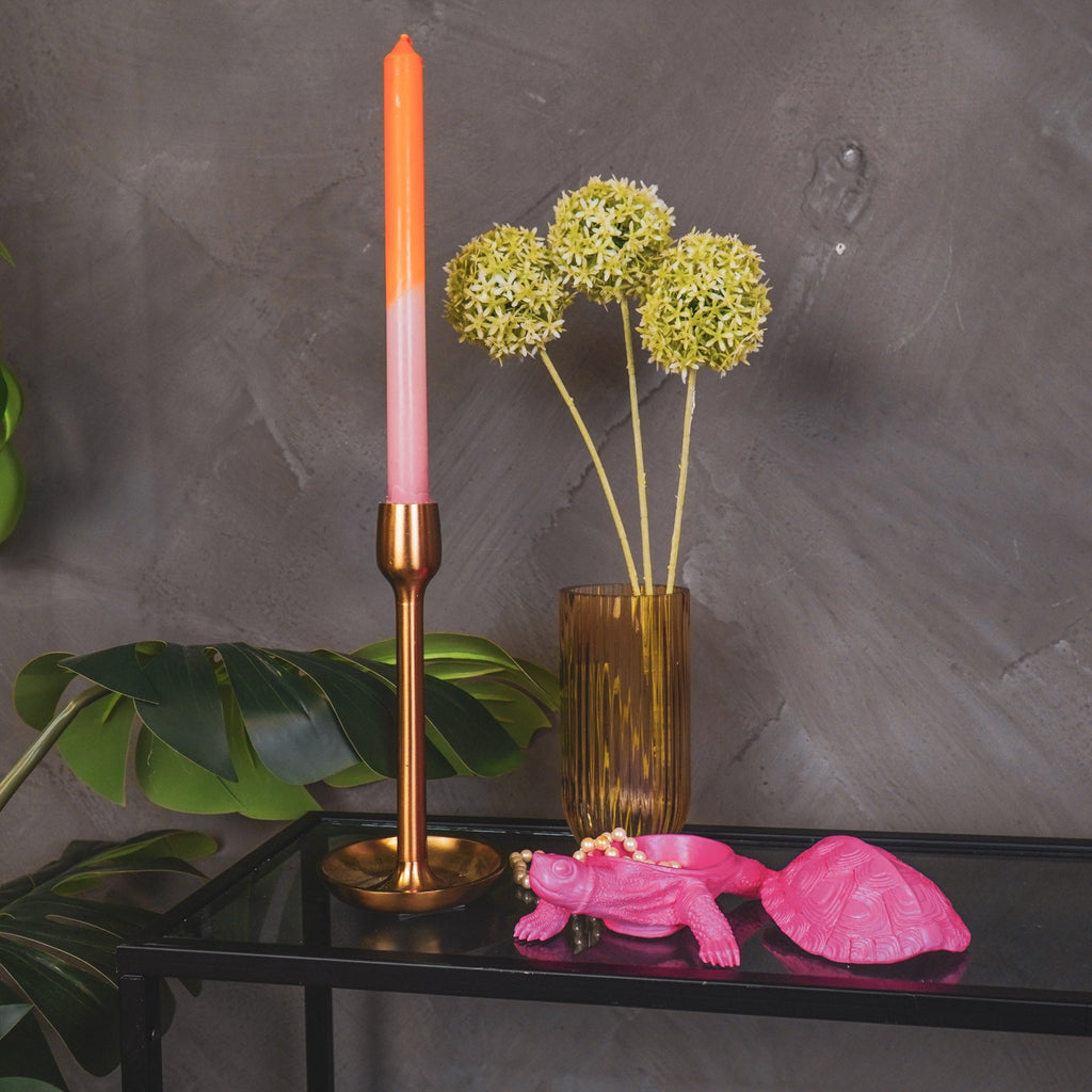 Kilpkonnakarp- Neoonroosa - 15.5x13.5x7.5cm