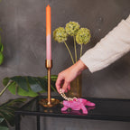 Kilpkonnakarp- Neoonroosa - 15.5x13.5x7.5cm