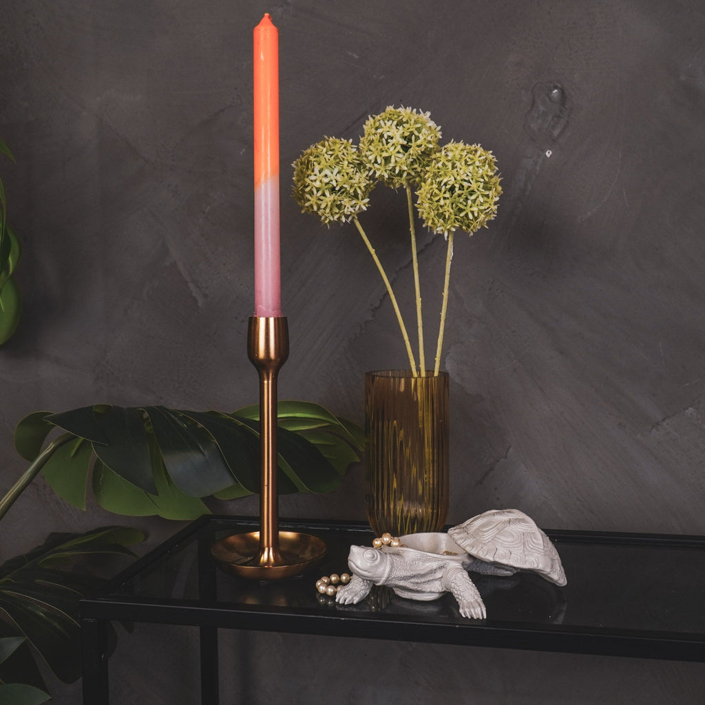 Kilpkonnakarp - Liiv - 15,5x13,5x7,5cm