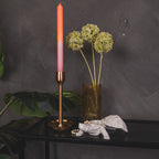 Kilpkonnakarp - Liiv - 15,5x13,5x7,5cm