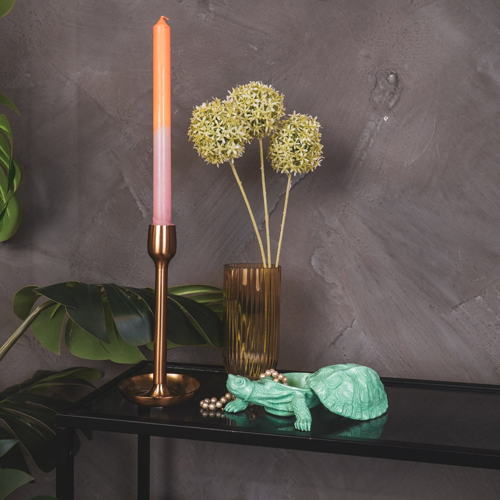 Kilpkonnakarp - piparmündiroheline - 15,5x13,5x7,5cm