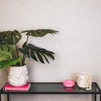 Dick - 17,5x17,5x17,5cm