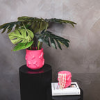 Dick - Roosa - 17,5x17,5x17,5cm