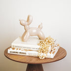 Rahakassa õhupallkoer - liivatooni - 17x7x17cm